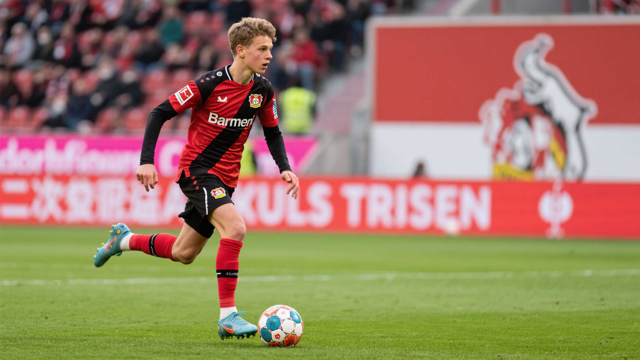 关于Leyu·乐鱼体育